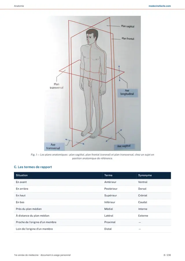 Anatomie — page 9